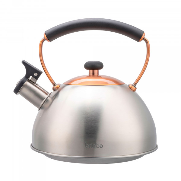 briebe Tetera Inducción Silbante 2,5L, Hervidor de Agua Acero Inoxidable, Retro, Todo Tipo de Cocinas, Vitrocerámica, Gas, Mango Tacto Frío, Diseño Vintage, Tea Pot, Inox/ Bronce