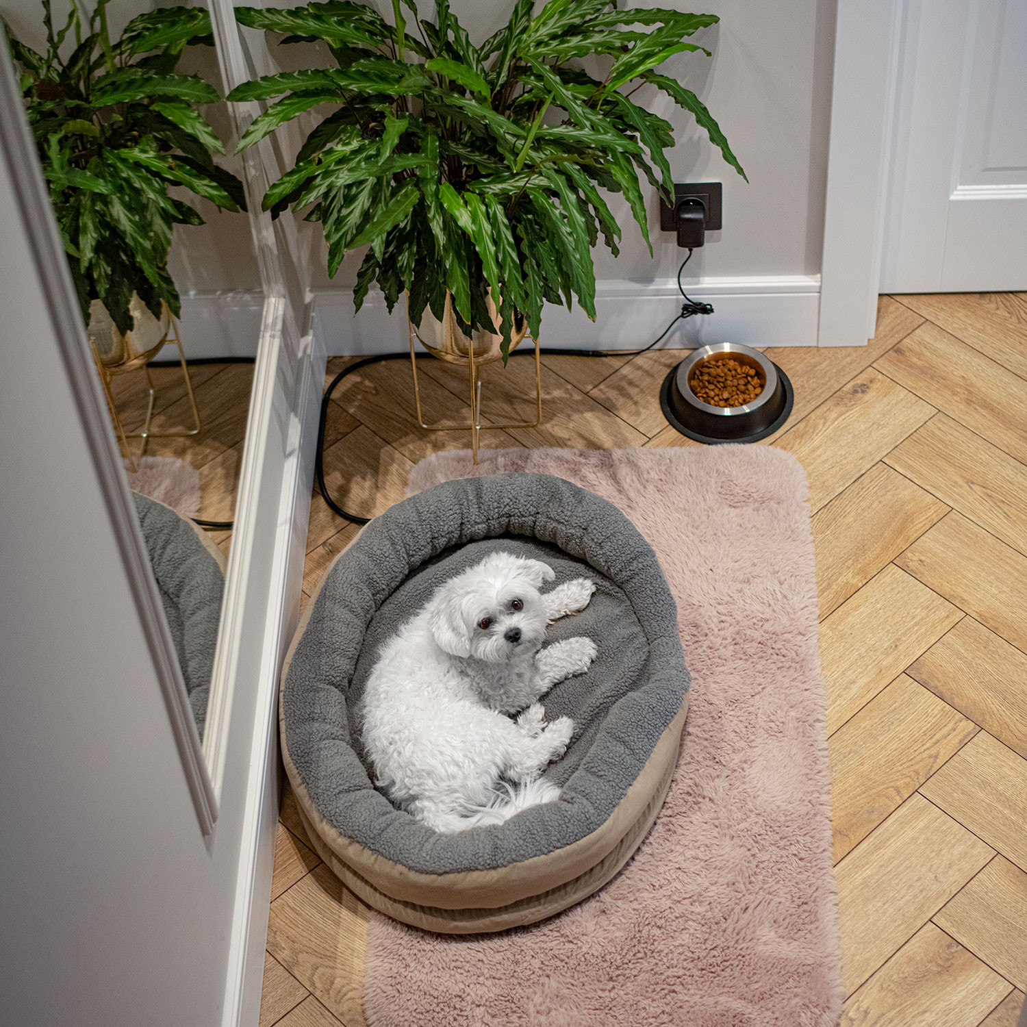 Cama calefactora eléctrica best sale para perros y gatos