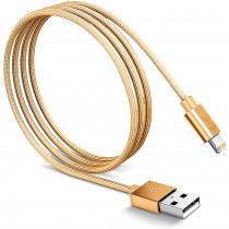 Blaupunkt BLP0212.191 Cable Cargador Lightning a Macho USB, Carga Rápida, Recubrimiento Metálico, 1,2m, Cable Alimentación IOS, Dorado ?>