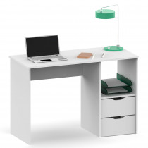 briebe Escritorio con Cajones, Mesa de Ordenador 76x115x50cm (Alto x Ancho x Profundo) 2 Cajones + Estantería, Oficina, Habitación Juvenil, Desk, Tocador Prakt Blanco