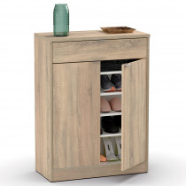 briebe Zapatero Entrada Recibidor, Mueble Auxiliar Estrecho Dormitorio, 2 Puertas, 1 Cajón 101x75x36 cm (Alto x Ancho x Profundo), 20 Pares Zapatos, Domus Roble Cambrian